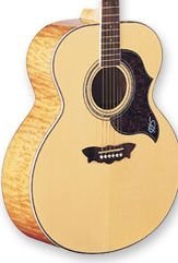Washburn J28SDL Acoustic Natural w/Case FREE SHIP Quilted Maple Back/Sides www.tmscad.ecrater.com