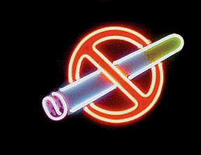 No Smoking Flowing Neon Sign
