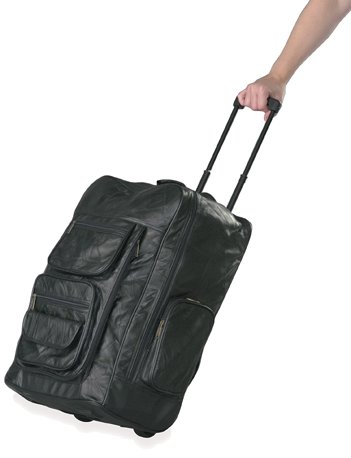 Super Deluxe Backpack with Rolling Cart