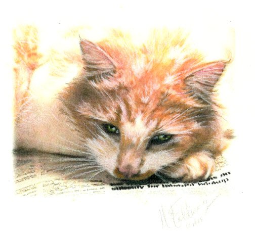 Custom Pet Portrait