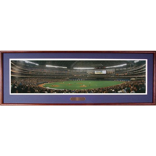 Everlasting Images Toronto Blue Jays SkyDome Deluxe Framed Photo