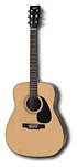 Yamaha - Eterna 6-String Acoustic Guitar