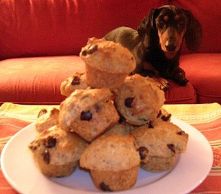 Chocolate Chip Muffins
