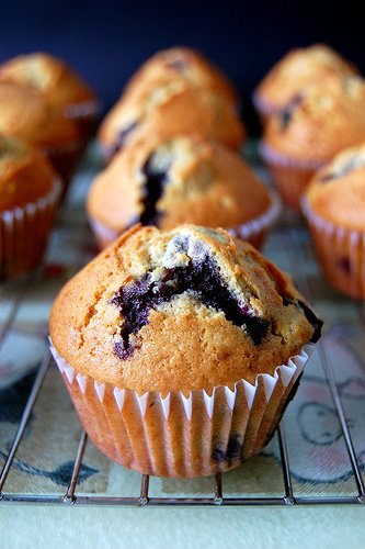 Blueberry Muffins