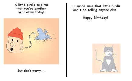 Greeting Cards Sarcastic Birthday Cards 002