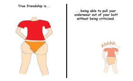 Greeting Cards Sarcastic Friendship Cards 013