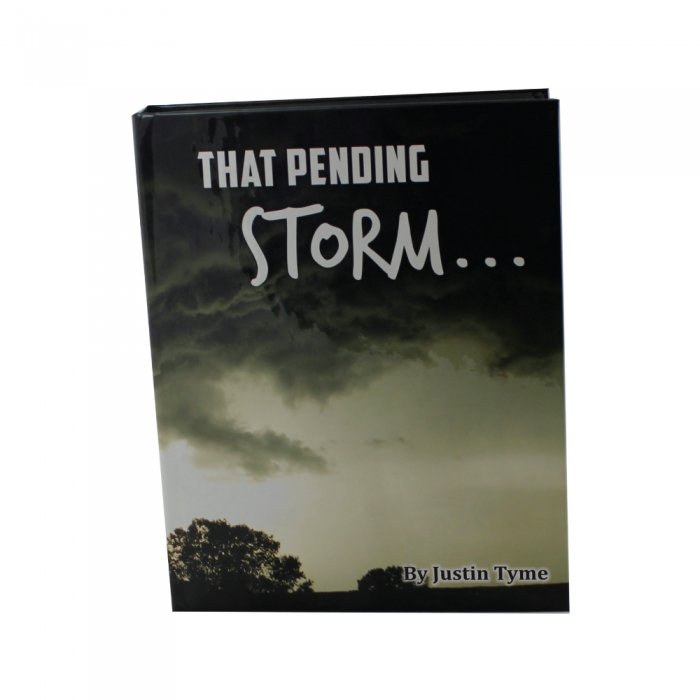 Hand Gun Hider Book Safe Concealed Hidden Compartment SM reduced price