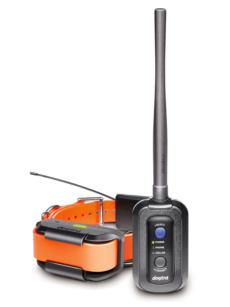 Dogtra Pathfinder GPS Tracking & Remote Training Collar new product free shipping