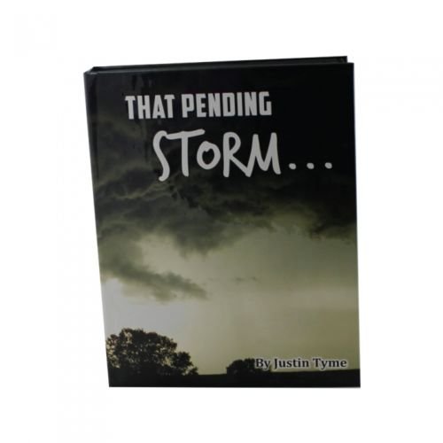 Large Hand Gun Hider Book Safe