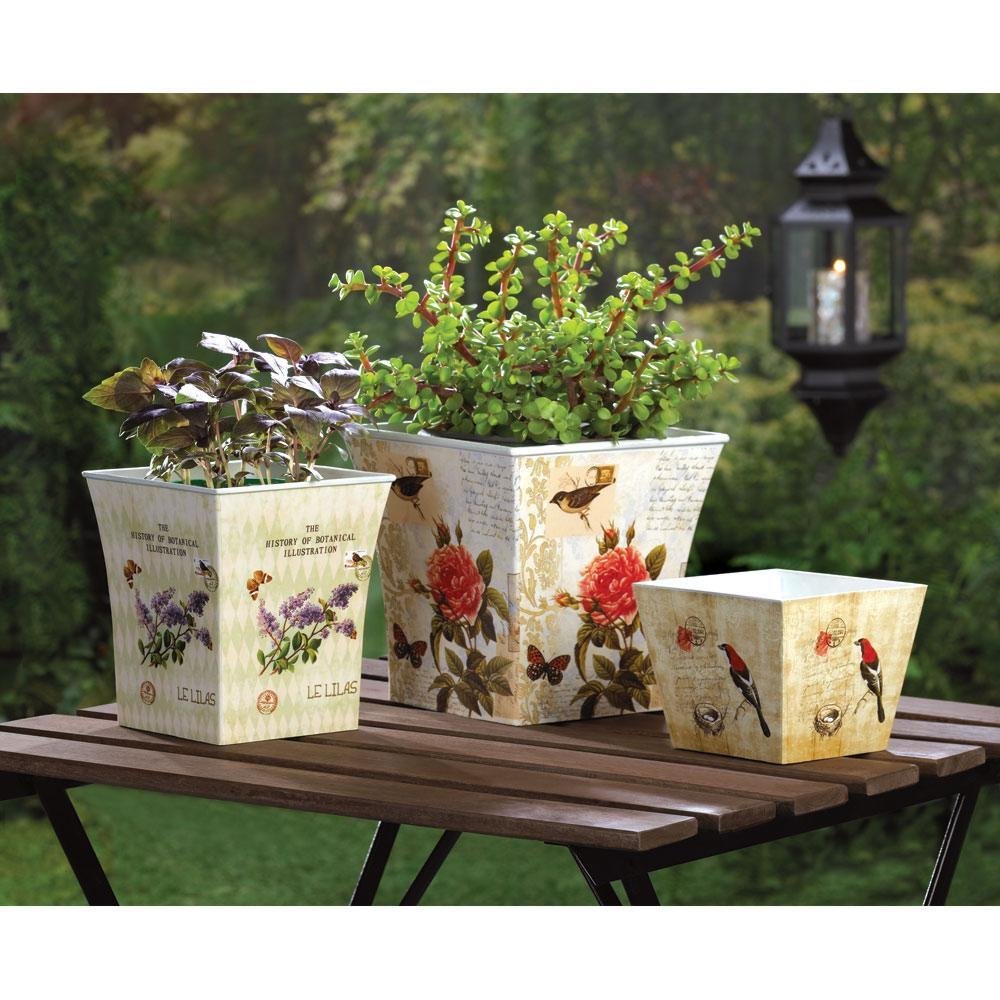 Butterfly Planter Trio