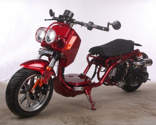2016 Maddog PMZ50-21 50cc Scooter Price 500usd