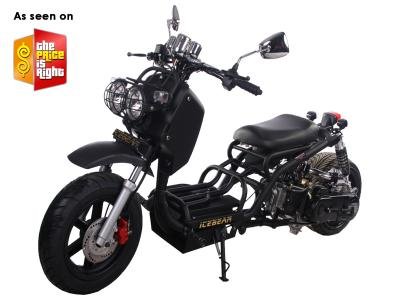 Maddog 50cc Scooter Price 350usd