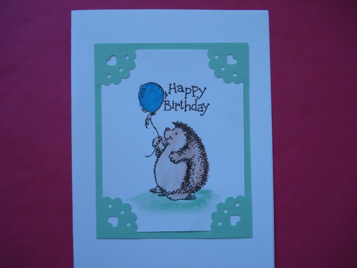 Hedgehog Birthday Card Stampin Up Various Colors Available
