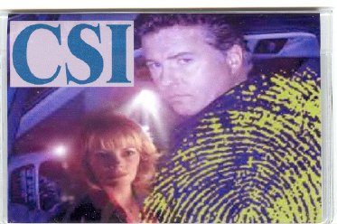 CSI CREDIT CARD CASE-WILLIAM PETERSEN, MARG HELGENBERGER
