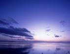 # 0116072 Heartbeat Of Heaven
