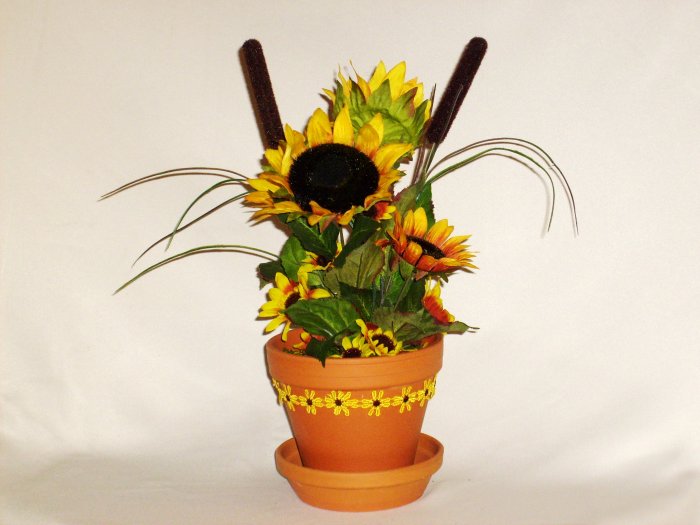 Sunflowers in Terra Cotta Pot