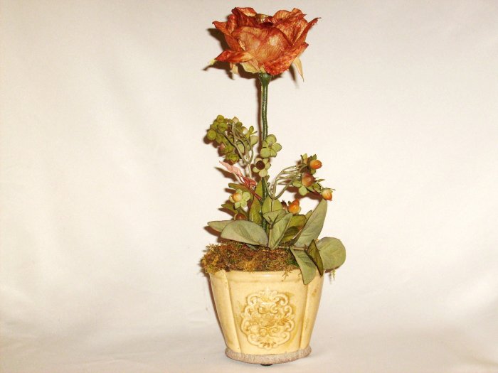 Copper color Open Rose with buds