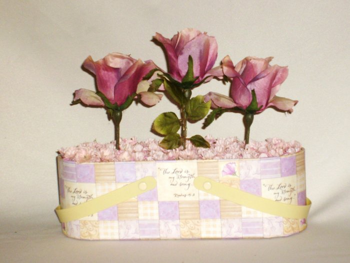 Beautiful Pink Rose Garden