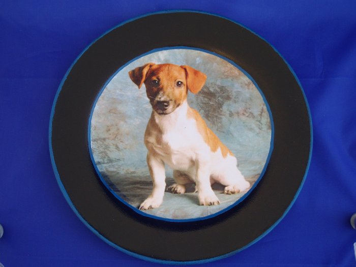NEW - Jack Russell Decoupage Plate Limited Edition