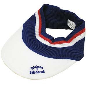 Tricolore Sun Visor