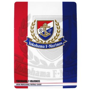 Emblem Desk Pad