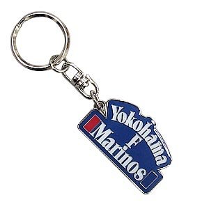Color Logo Key Ring