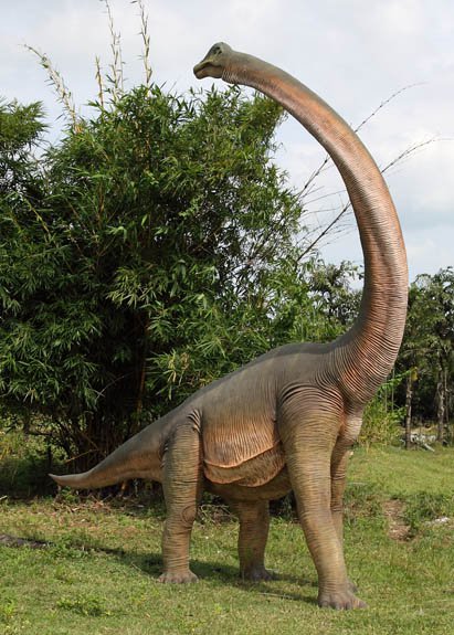 Custom Made Life Size Brachiosaurus Looking Backward Adolescent Dinosaur Statue