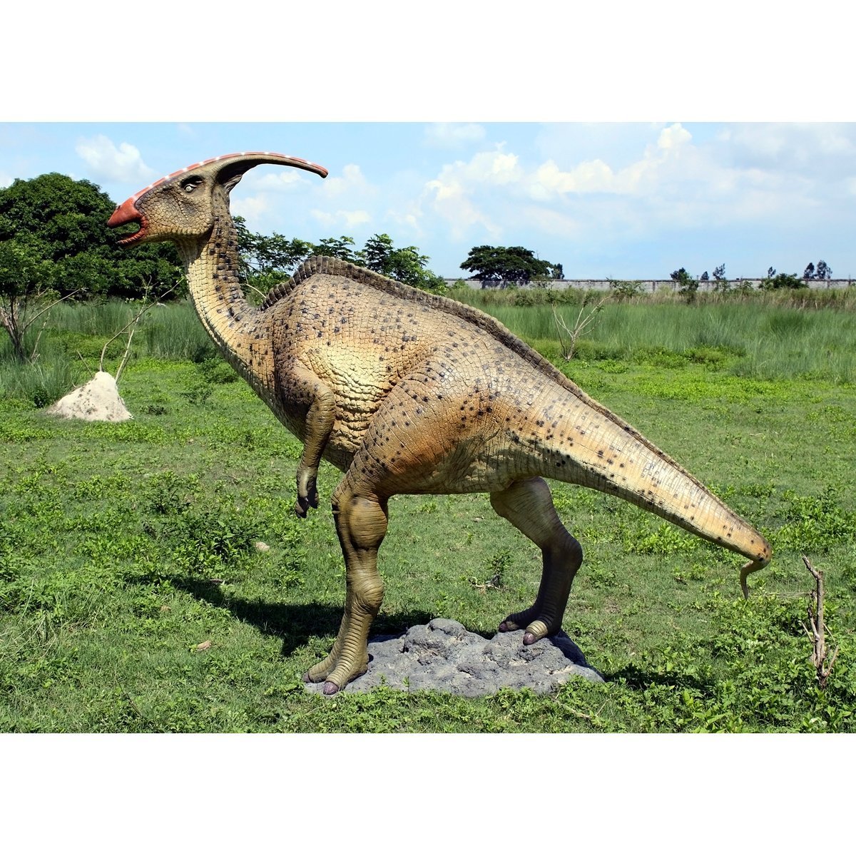 Custom Made Life Size Adolescent Parasaurolophus Dinosaur Statue