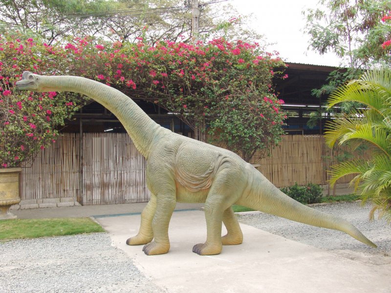 Custom Made Life Size Baby Brachiosaurus 15' Dinosaur Statue