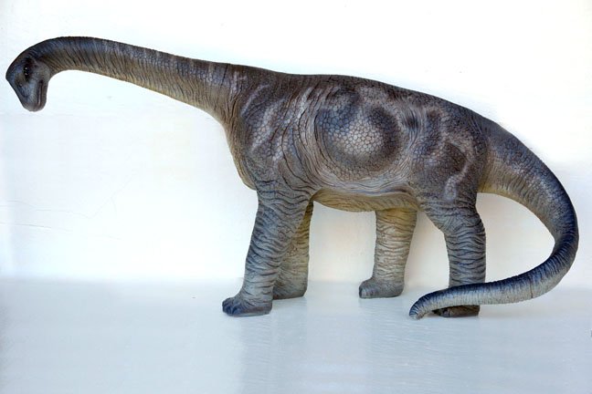 Custom Made Life Size Juvenile Camerasaurus Dinosaur Statue