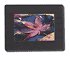 Digital Spectrum - Elite 7" TFT-LCD Digital Photo Frame