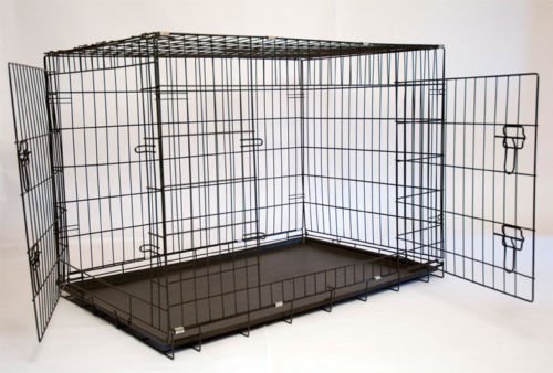 Iconic Pet 24in Foldable Double Door Pet Dog Cat Training Crate with Divider
