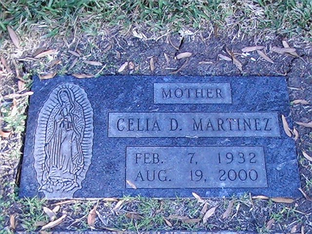 Guadalupe design