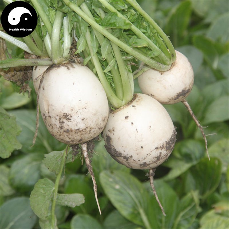 How to Plant Vegetable Seeds Outdoors How to Plant Vegetable Seeds Outdoors