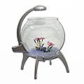 Globe Aquarium and Blue LED Light