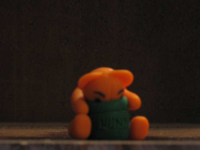Winnie the bear