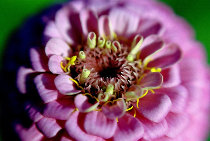 unfolding - 8x12 print