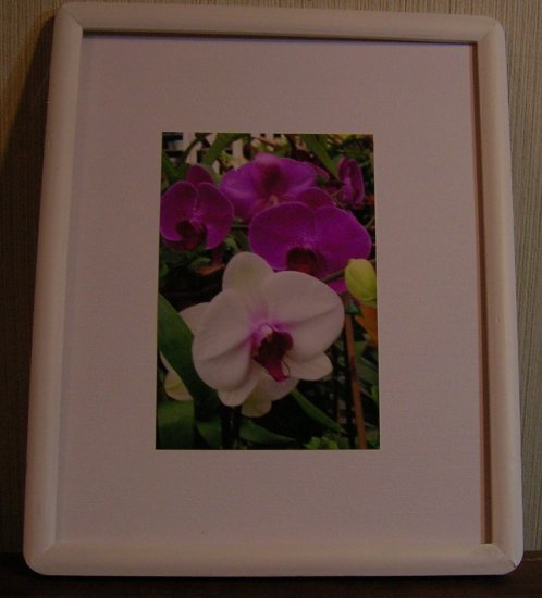 White Wood Framed Photo