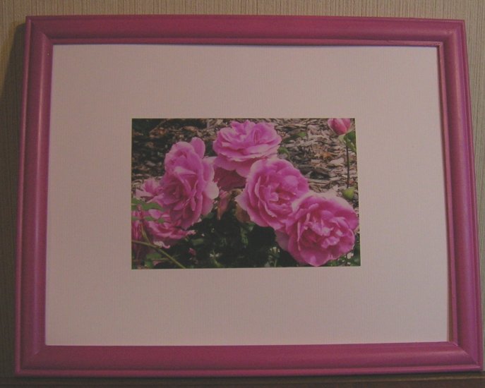 Framed Picture