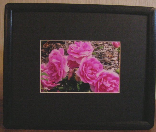 Roses In Black Frame