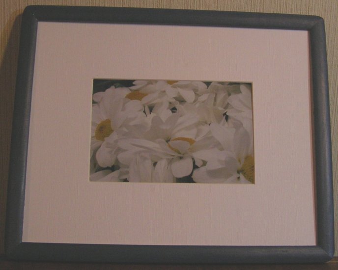 Daisies In Blue Frame