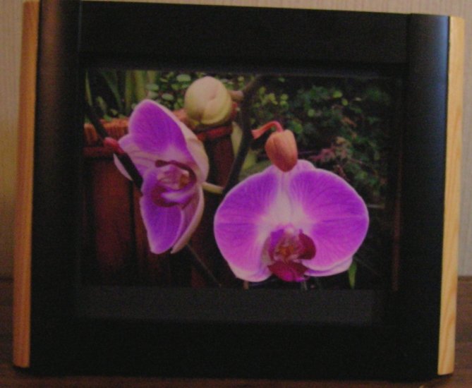 Two Tone Wood Framed Picture