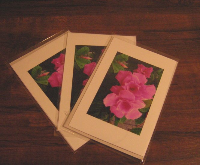 Set of 3 Cards
