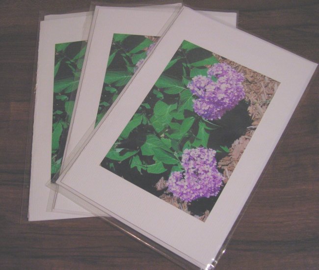 Set of 3 Cards