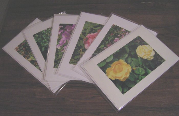 6 Assorted Photo Cards