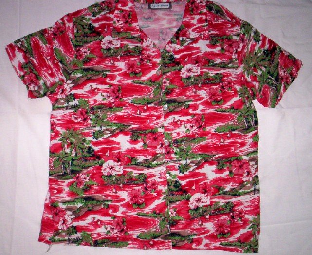 Boy's Button Front Shirt, Red by Agrea ????