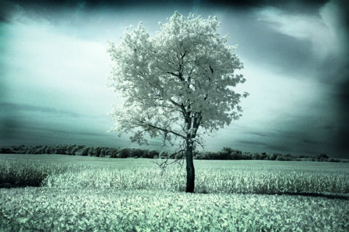 you begin to feel alone-20x30 fine art photograph
