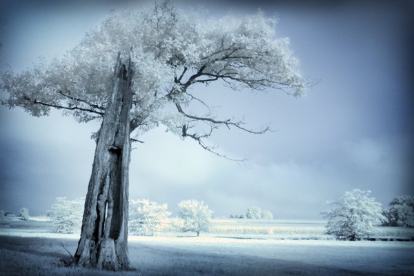unsaid, undone- 8x12 fine art photograph