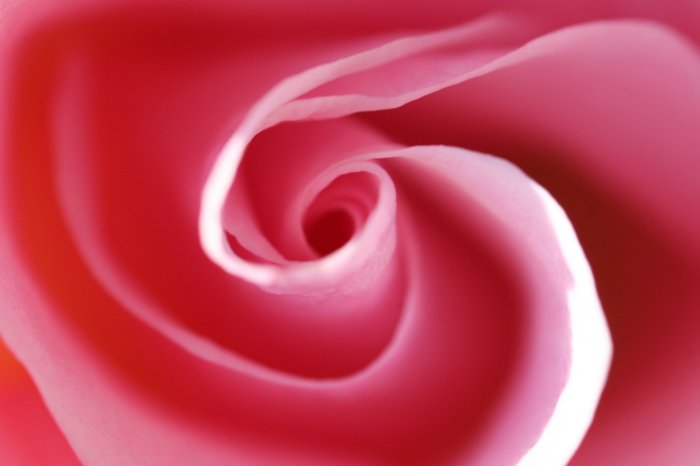 rouge-8x12 fine art photograph