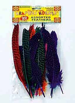 Wholesale 20 Piece Goose Feathers